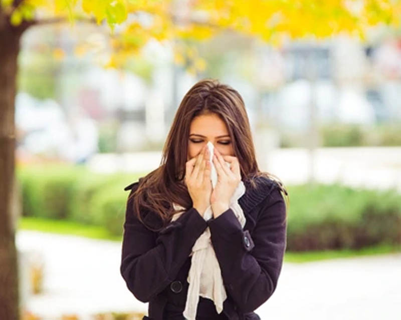 Temporada de alergias: qué hacer cuando el sistema inmune reacciona de manera desmedida al cambio de estación