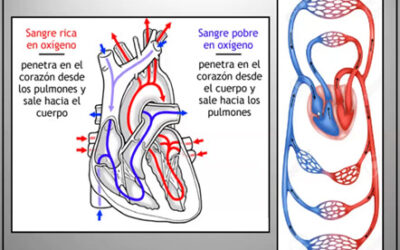 Clase 2 – CEB 2025