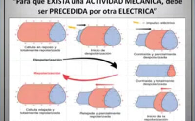 Clase 4 – CEB 2025