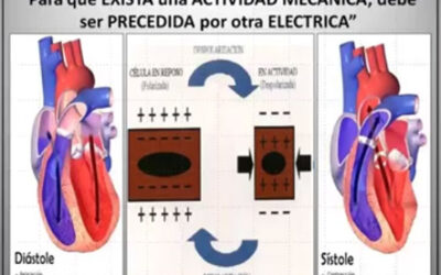 Clase 5 – CEB 2025