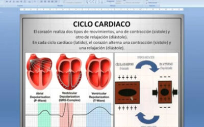 Clase 8 – CEB 2025