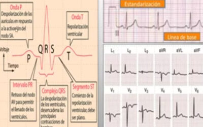 Clase 10 – CEB 2025