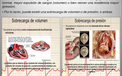 Clase 12 – CEB 2025