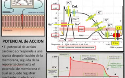 Clase 14 – CEB 2025