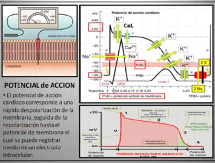 Clase 14 – CEB 2025