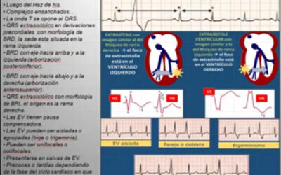 Clase 16 – CEB 2025