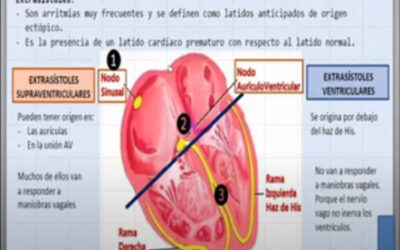 Clase 17 – CEB 2025