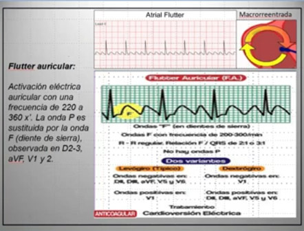 Clase 19 – CEB 2025