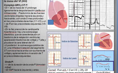 Clase 22 – CEB 2025